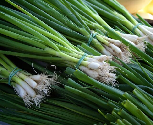 Green Onion Shortage