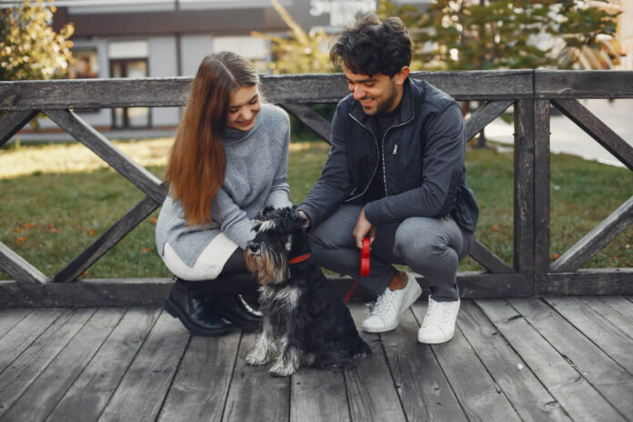 How Professional Dog Boarding Supports Routine Care and Supervision How Professional Dog Boarding Supports Routine Care and Supervision